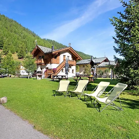 Botton D'oro Stella Alpina Livigno